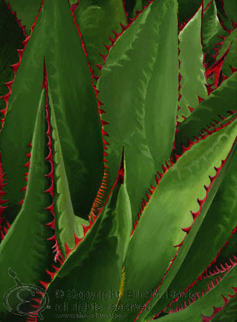 Agave, 2000 24" X 30", Painting Acrylic on Canvas &copy;2000 Eric M. Davis, all rights reserved